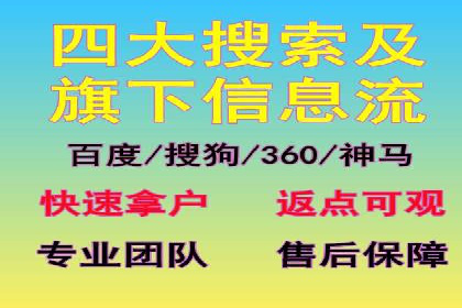 SEO与SEM案例分析：提升网站排名策略